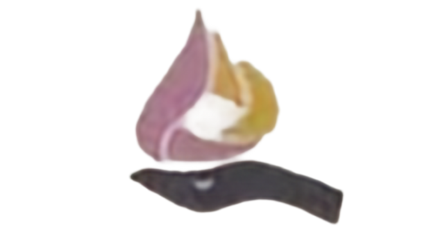 Cash Oil Company Ltd